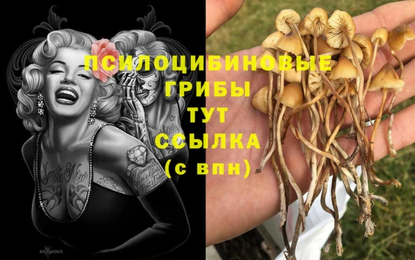 кокаин премиум Лабытнанги
