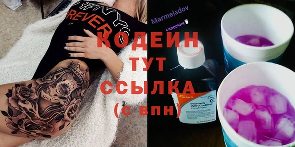 скорость Новодвинск