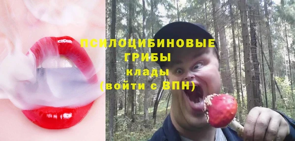 spice Липки