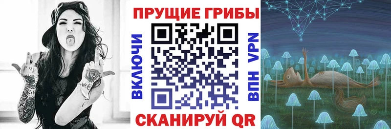 Псилоцибиновые грибы мицелий  Себеж 